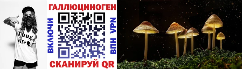 Галлюциногенные грибы MAGIC MUSHROOMS  купить   KRAKEN ссылка  Кулебаки 